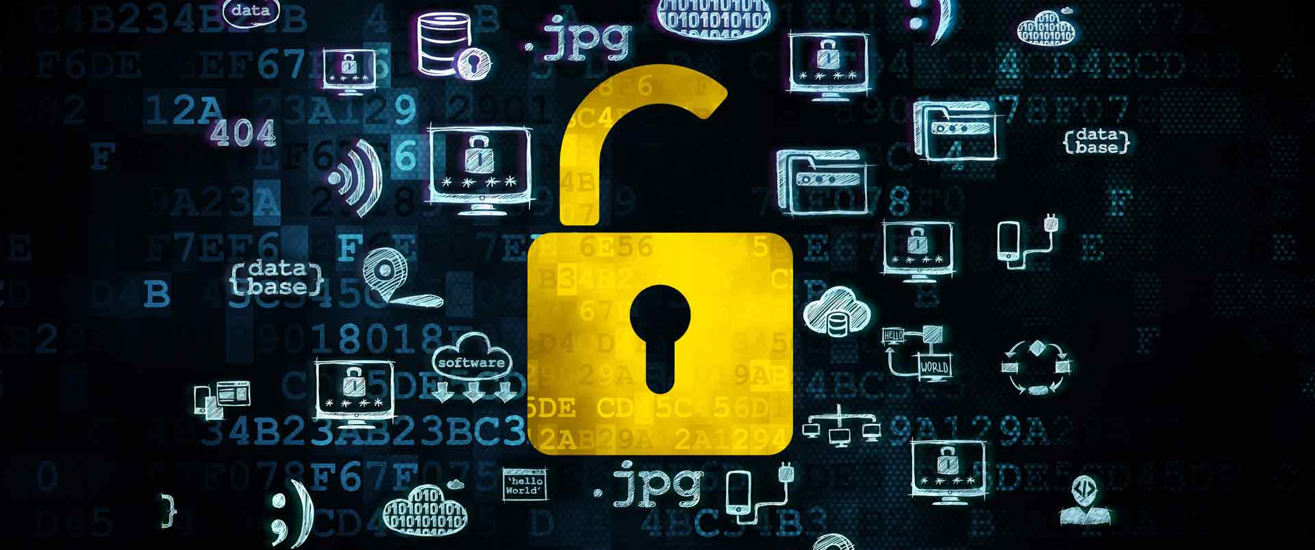 Terms of Service and Privacy Policy